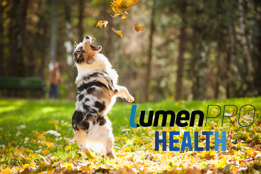 LumenPro Health